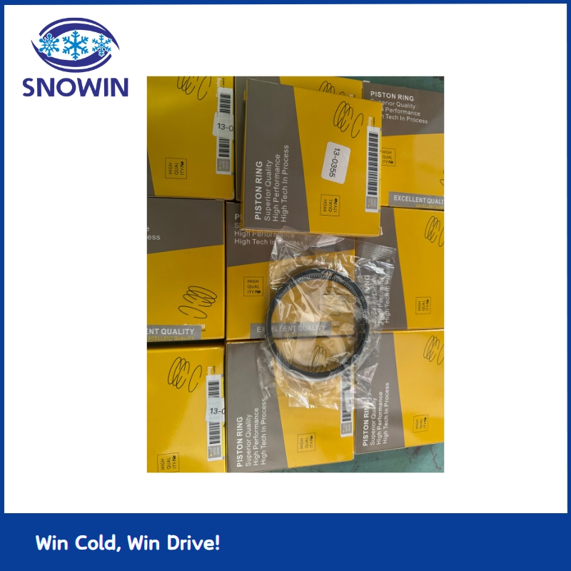 Thermo King (13-0355) Piston Rings