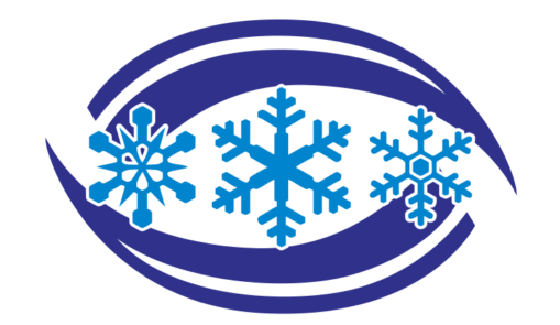 snowin industry