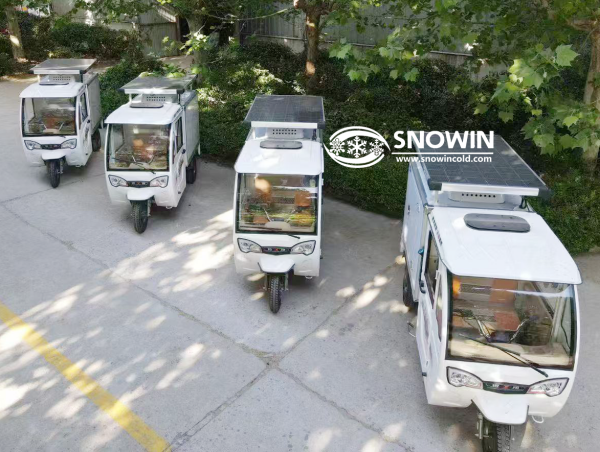 🧊 Electric Refrigerated Tricycle – Flexible Cold Chain Transport Solution